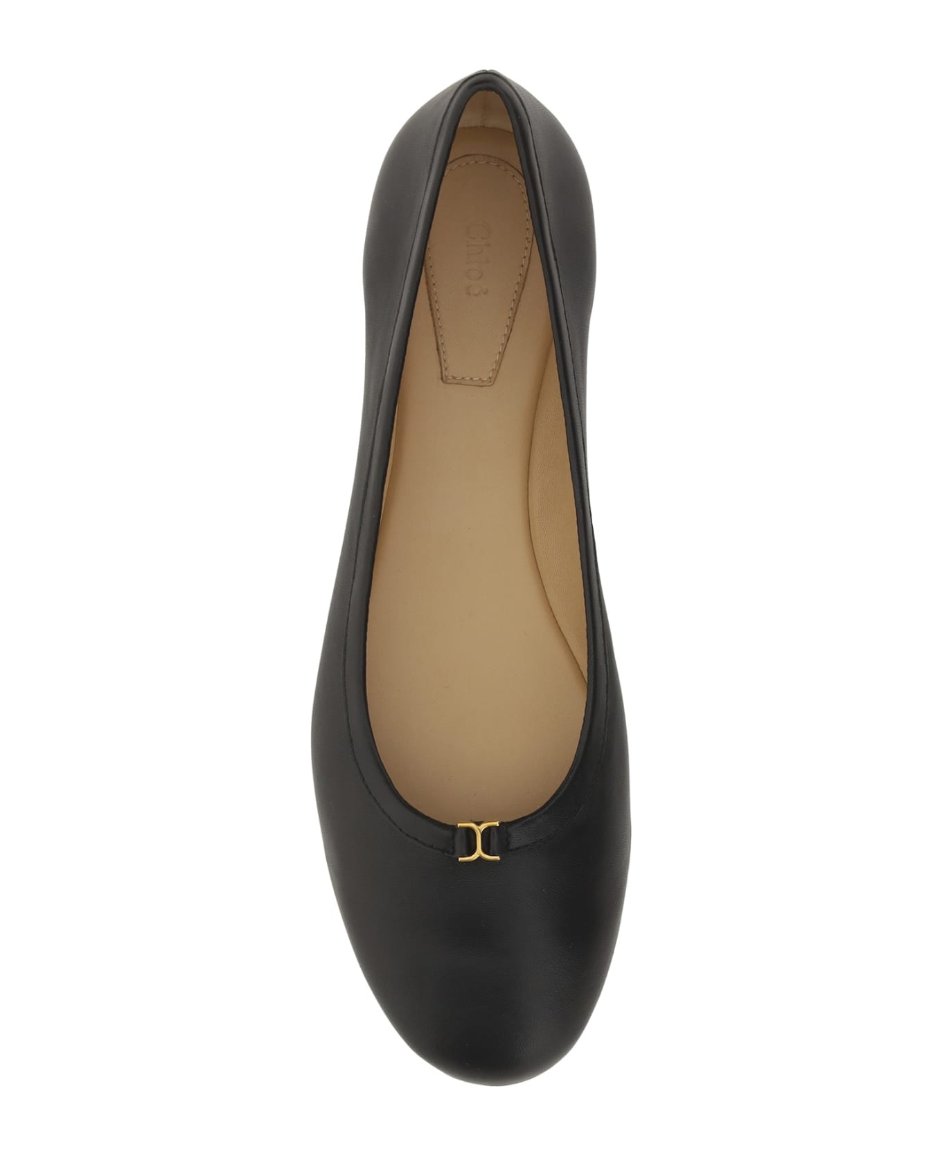 Marcie Ballerinas - 4