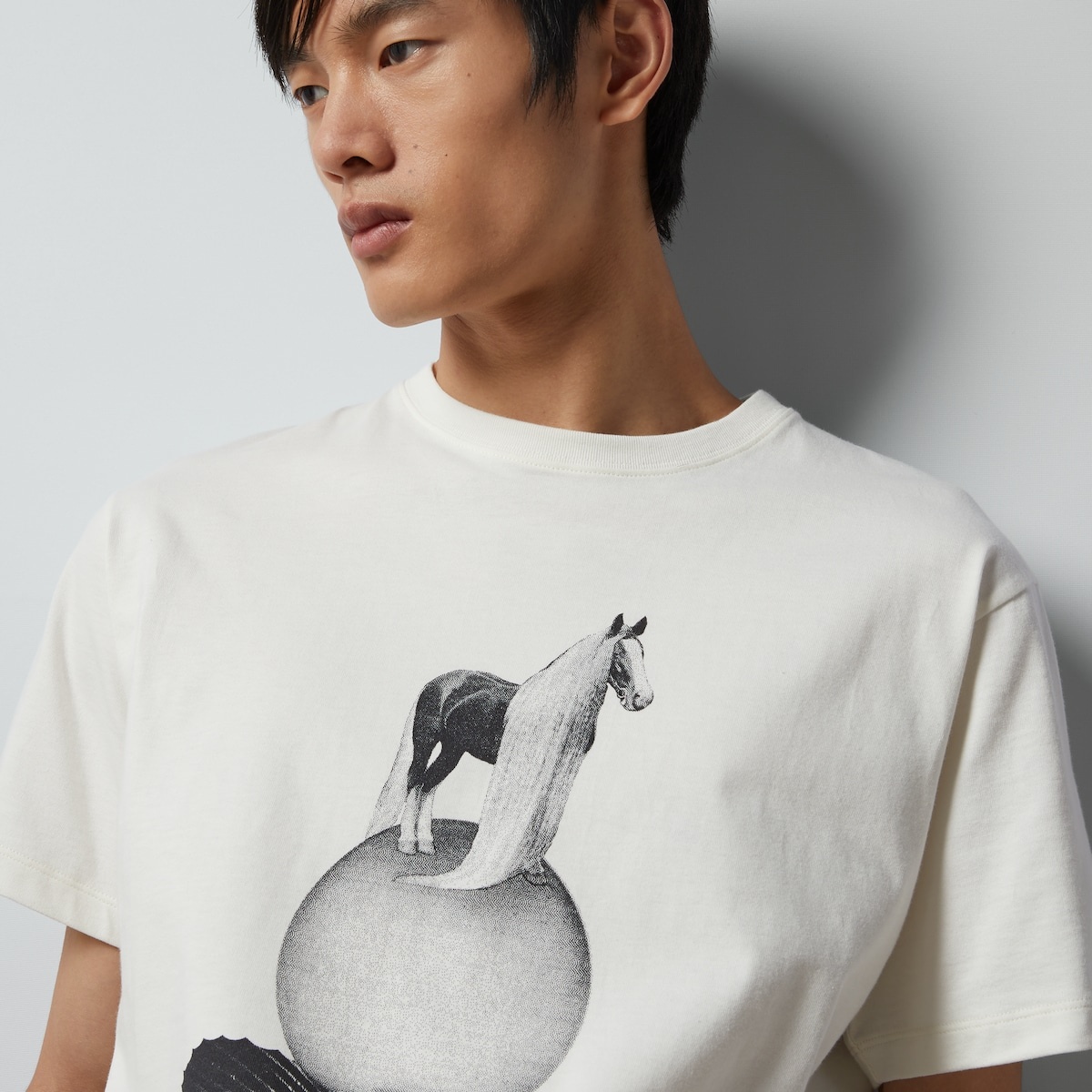 Cotton jersey printed T-shirt - 3