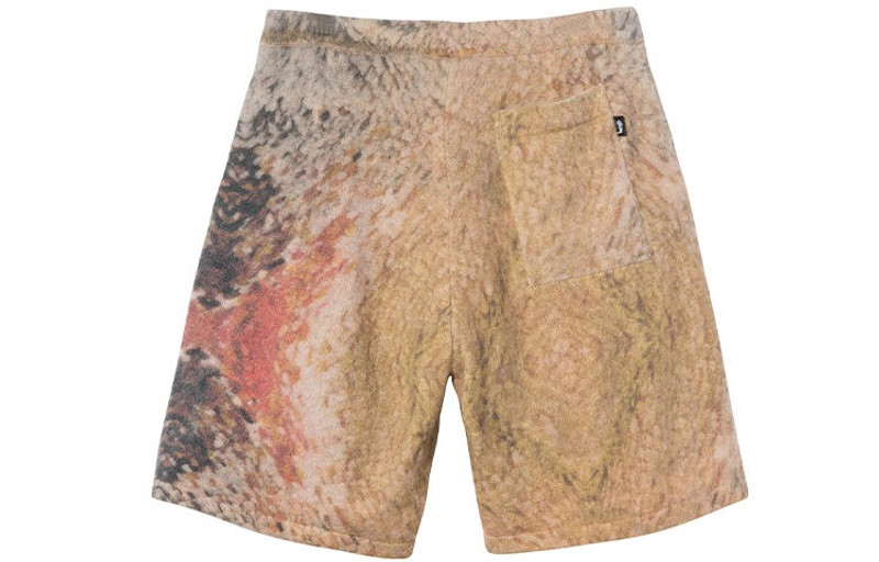 Stüssy Stussy Wings Print Knit Short 'Multi' 112272 outlook