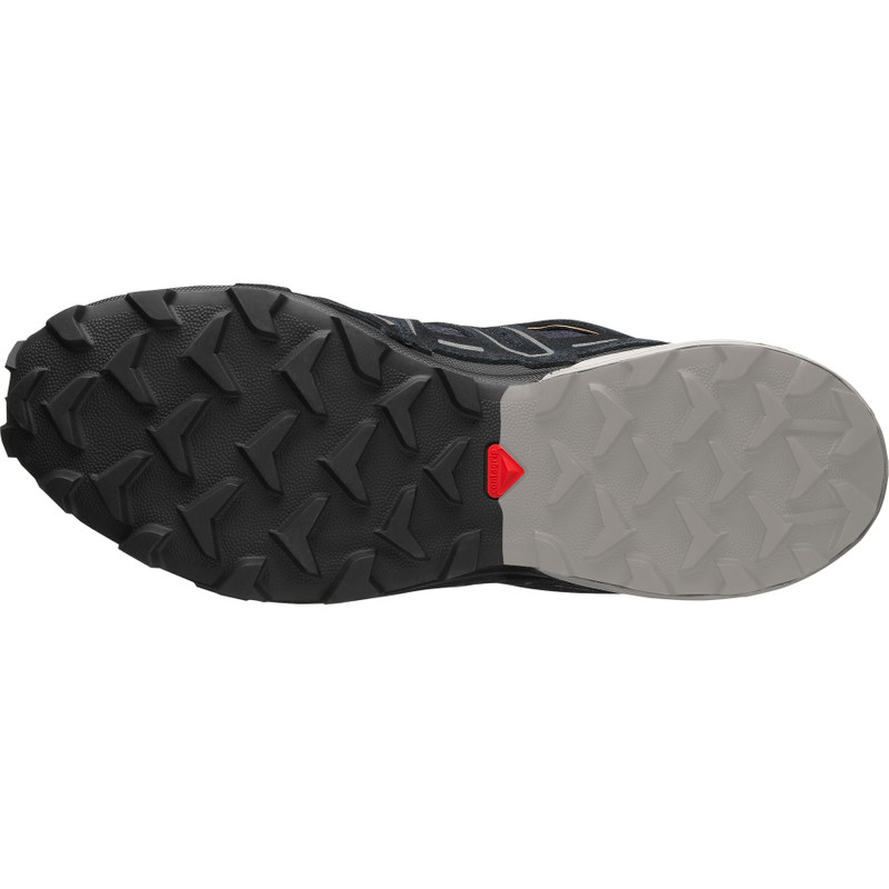SALOMON SPEEDCROSS 3 EXPANSE outlook