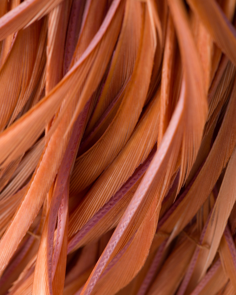 Prada Galleria mini-bag with feather trim 6