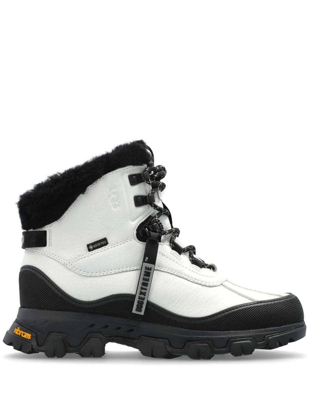 Adirondack Meridian boots - 1