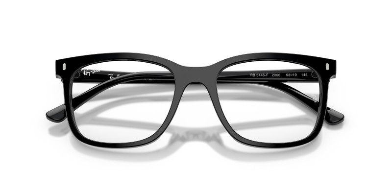 Ray-Ban RB5446 OPTICS outlook