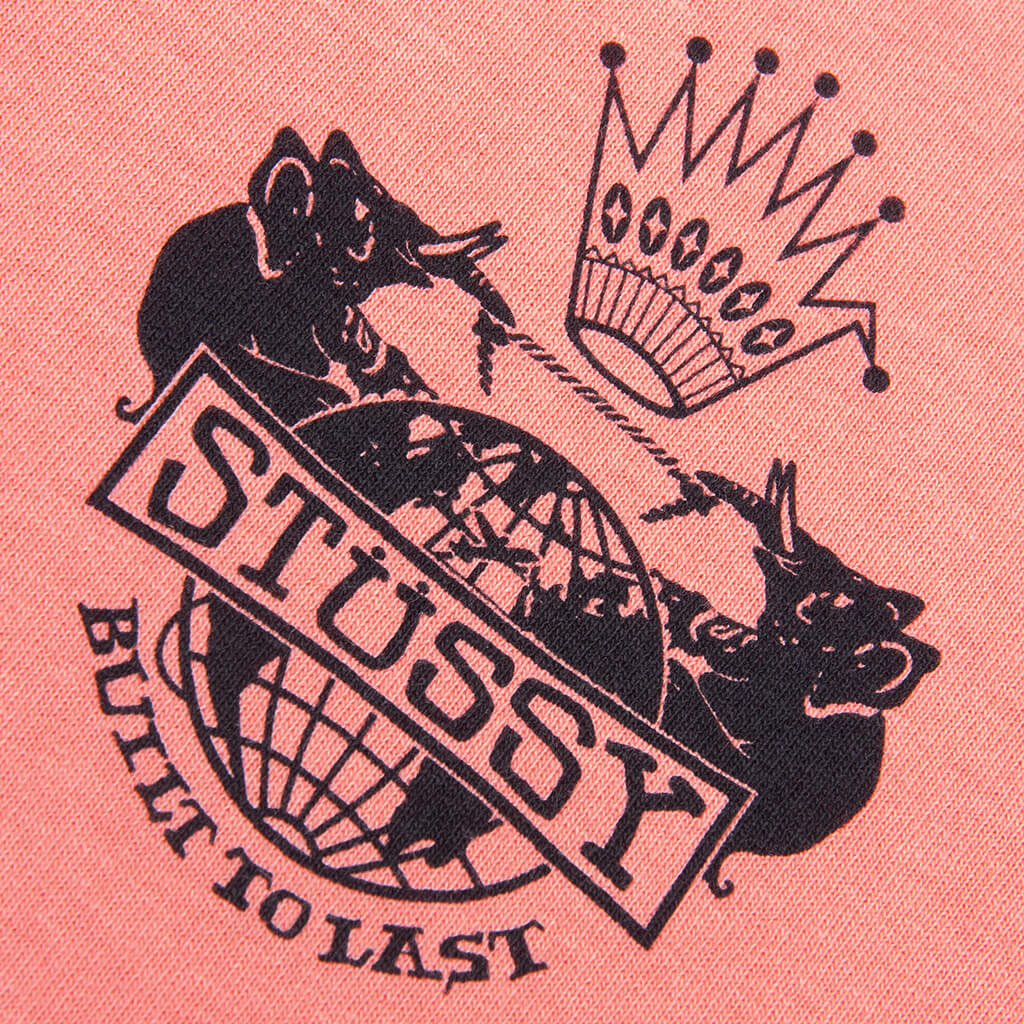 BUILT TO LAST PIGMENT DYED TEE - SHERBERT - 3