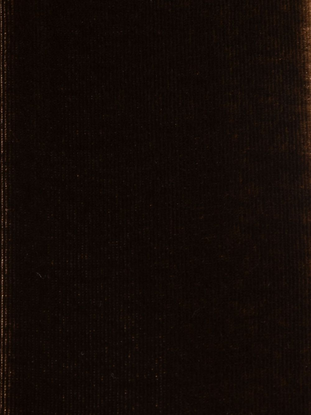 velvet-effect scarf - 3