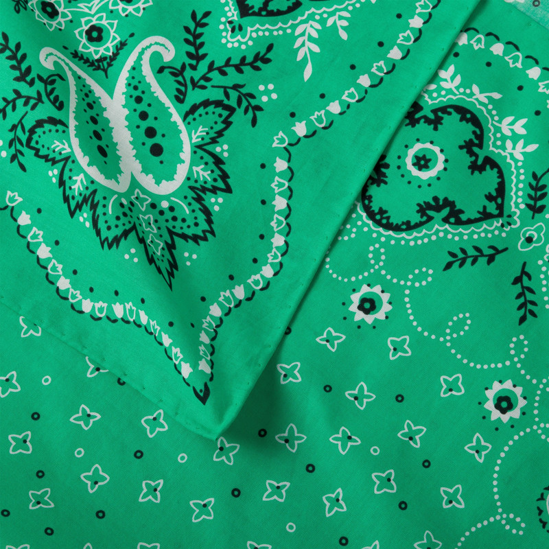 Miu Miu Printed cotton poplin scarf outlook