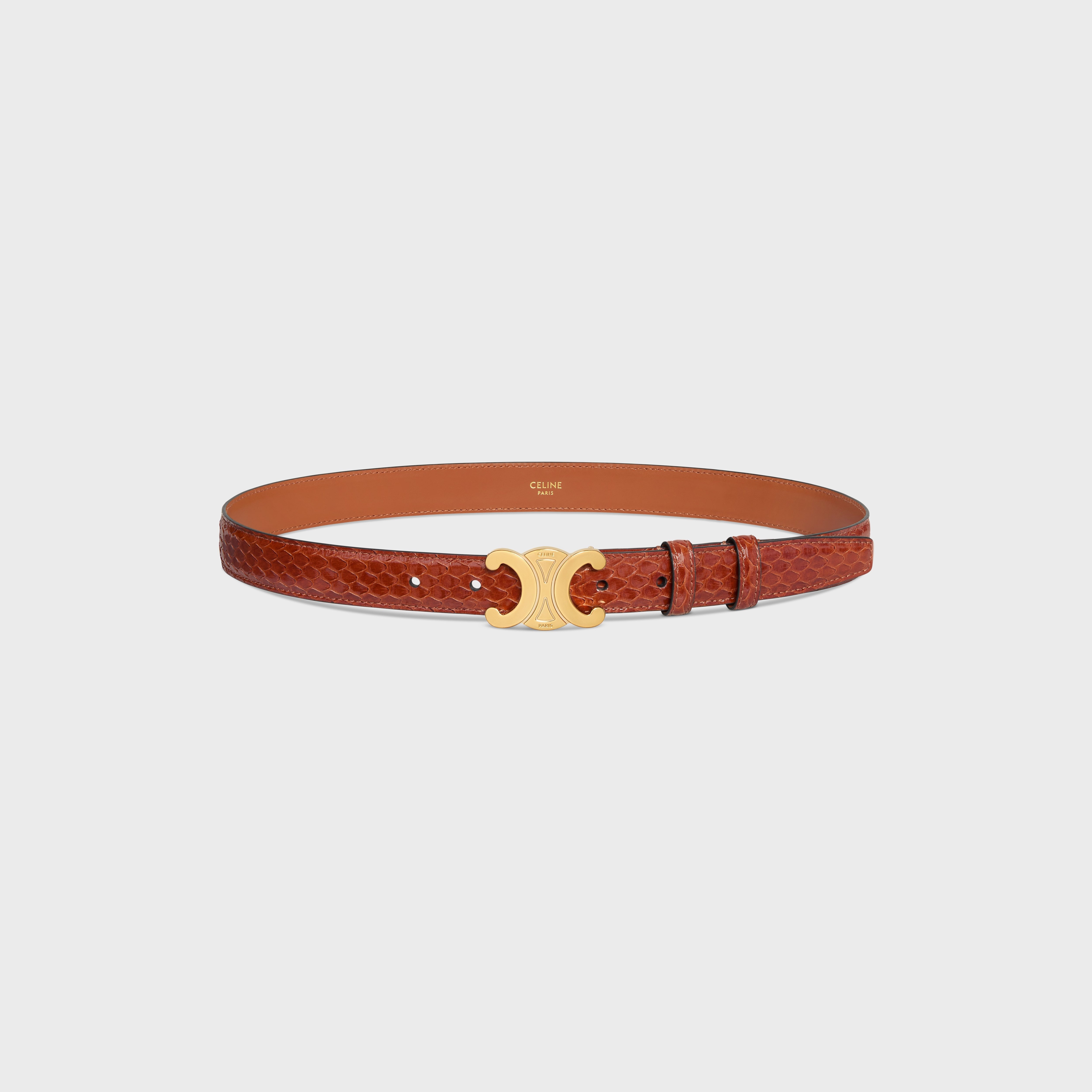 Medium Triomphe Belt in PYTHON - 3