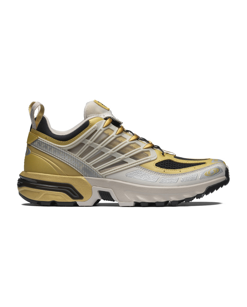 ACS PRO 20 Years Anniversary Golden Archive 1