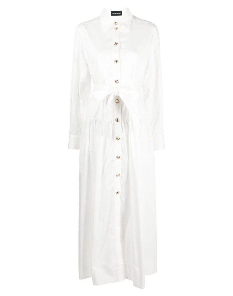 Perennial Shirt Dress 9