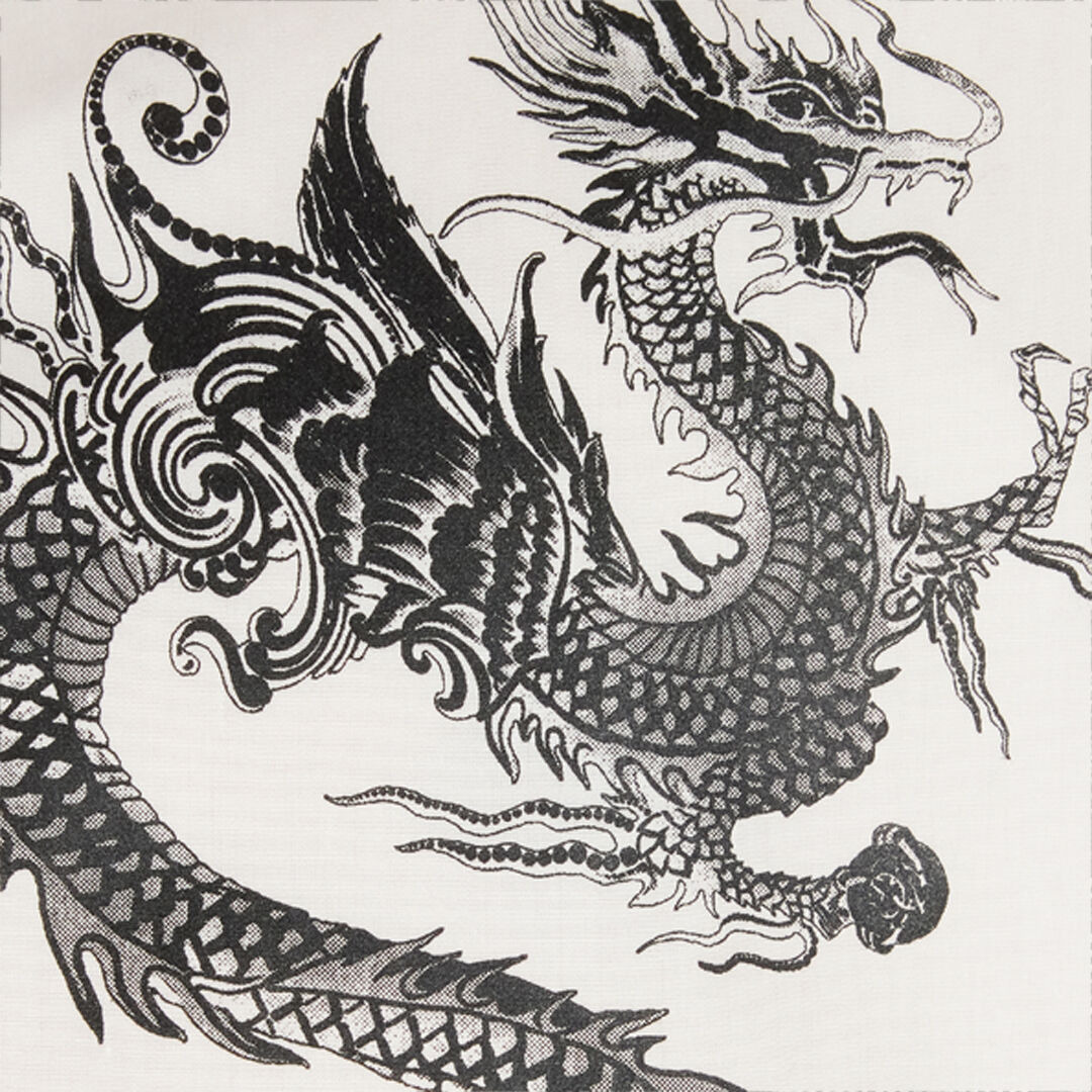 Cotton Shirt With Dragons - 5