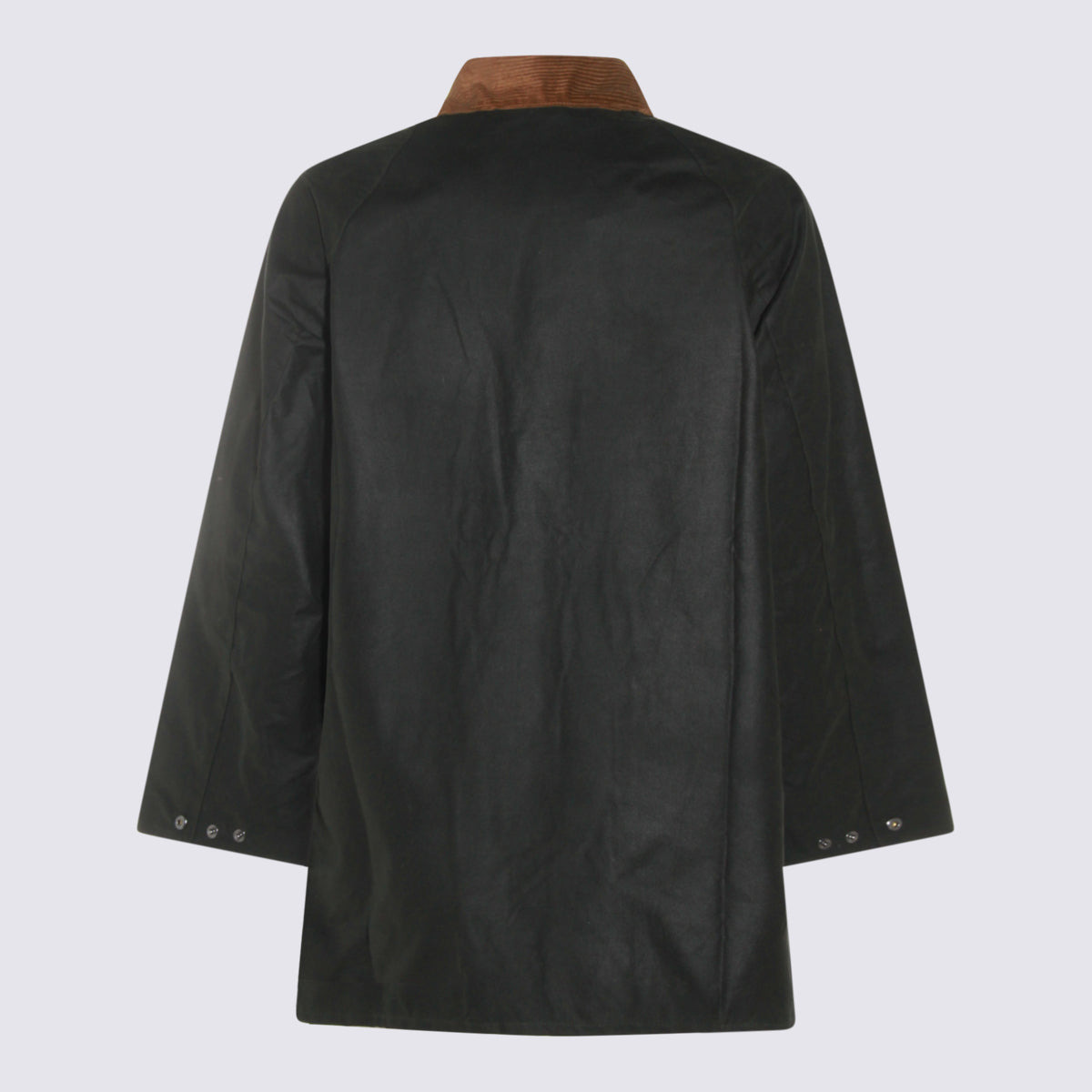 Coats Sage - 2