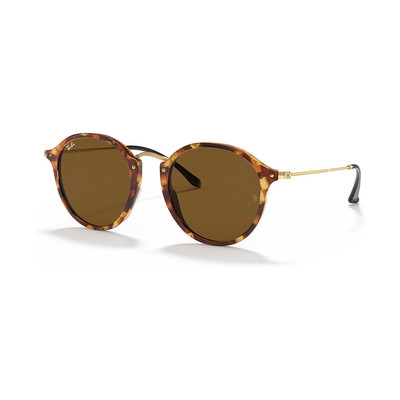 Ray-Ban RB2447 Round Fleck outlook