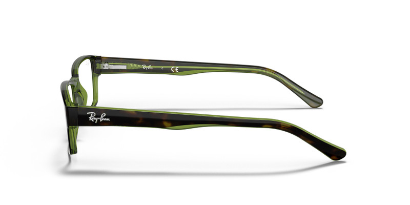 RB5169 OPTICS 5