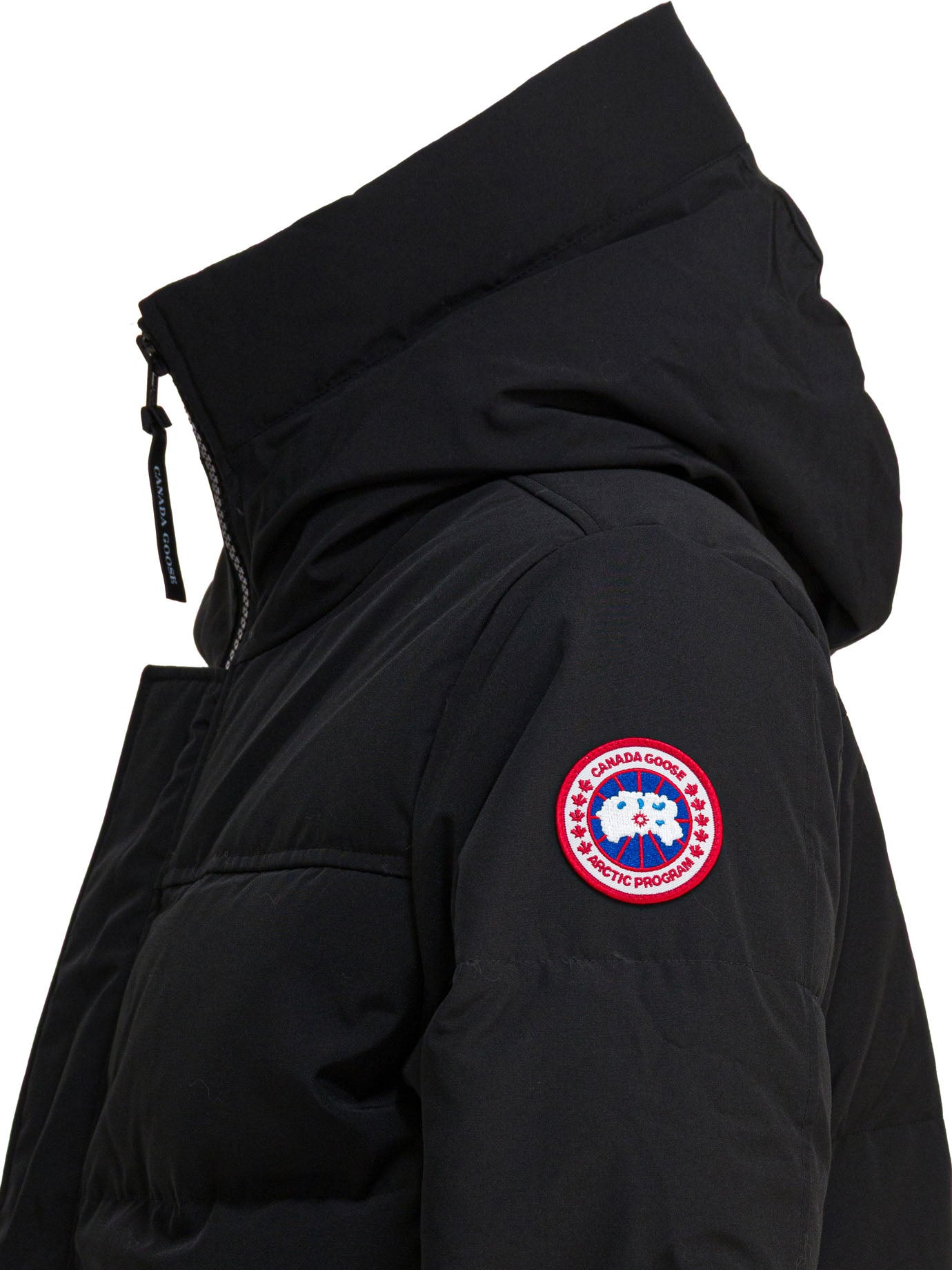 Canada Goose "macmillan" Down Jacket - 4