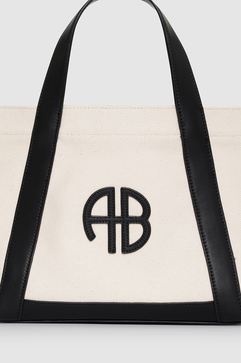 Small Cara Tote - Natural Canvas With Black - 5