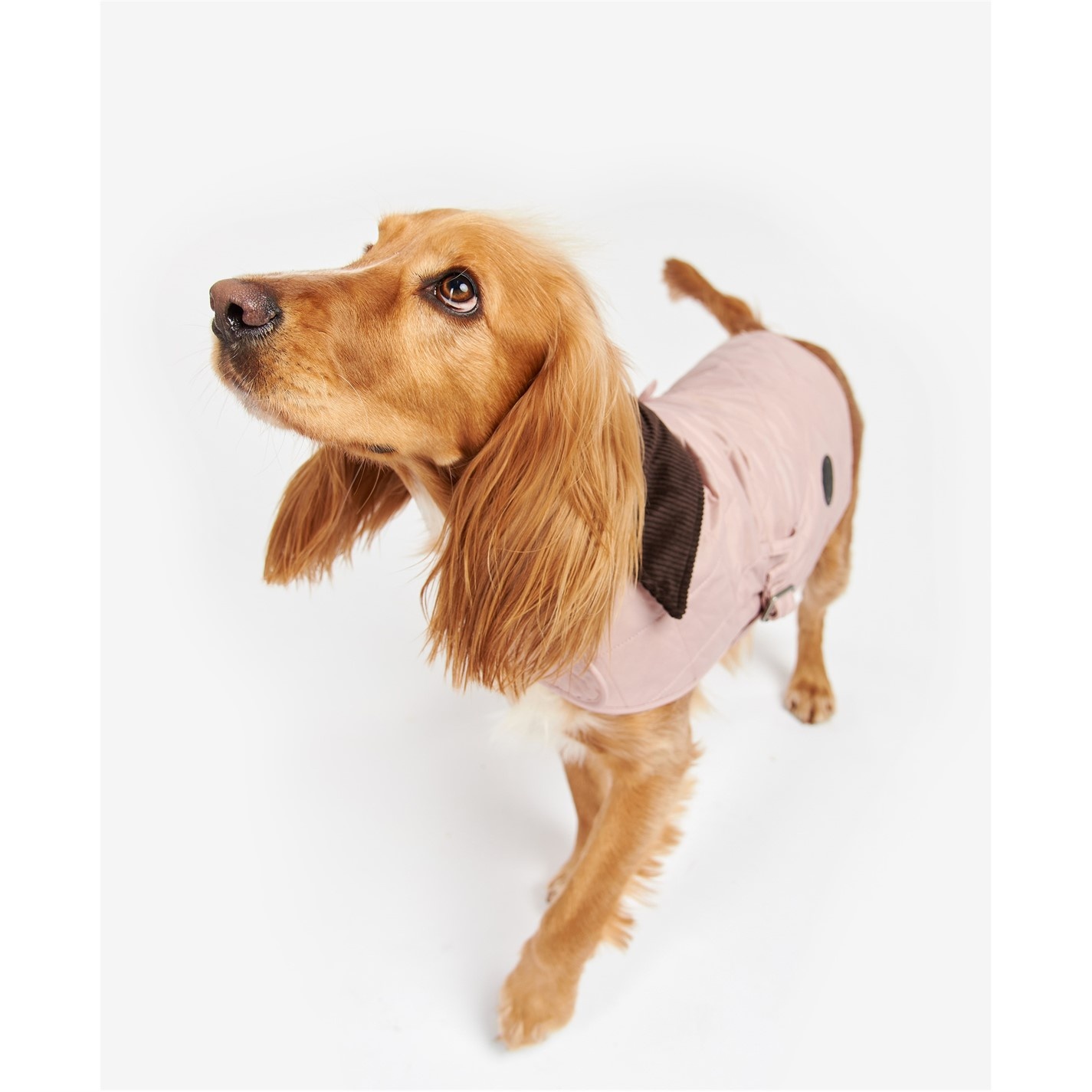 QUILTED DOG COAT - 2