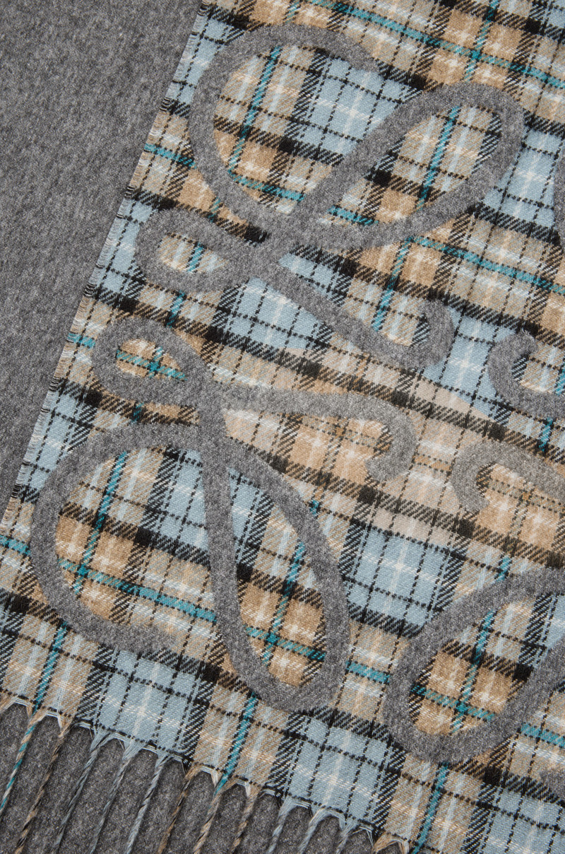 Anagram scarf in silk and cashmere 4
