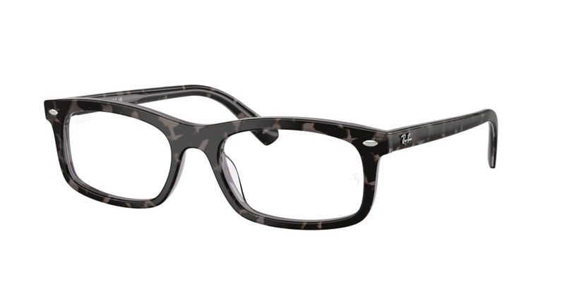 RB5450 OPTICS 3