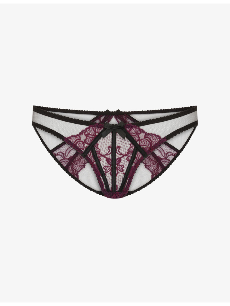 Rozlyn Bikini Mesh and Lace Briefs 1