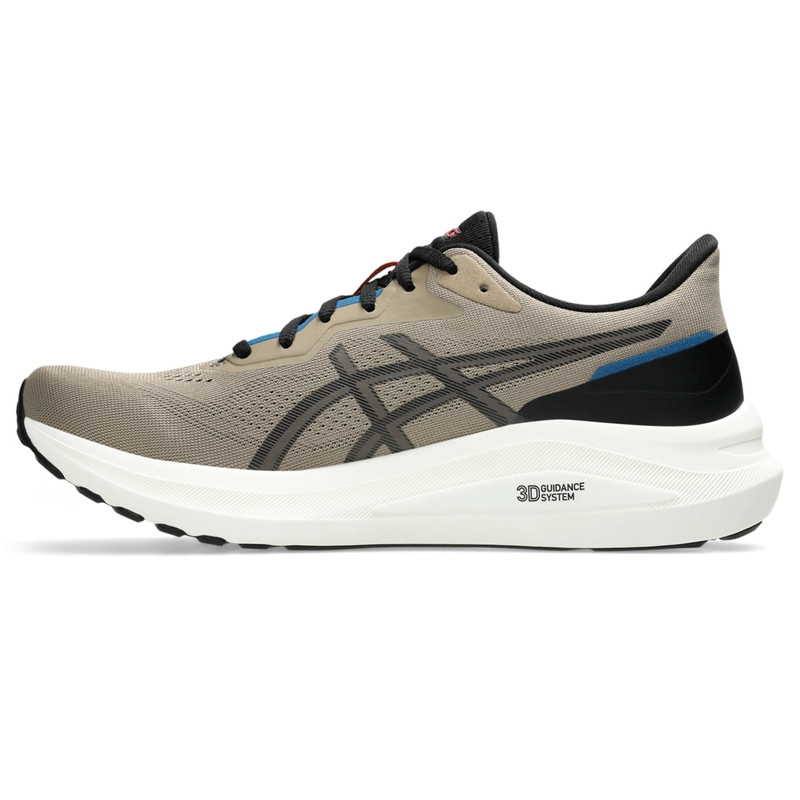 Asics GT-1000 13 outlook