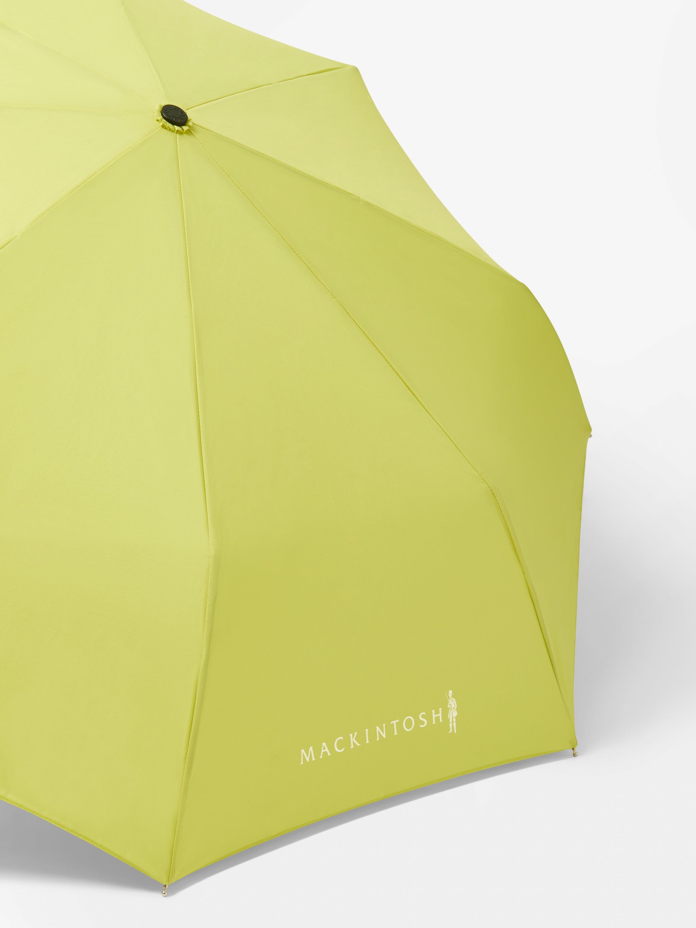 Ayr Automatic Telescopic Umbrella - 2
