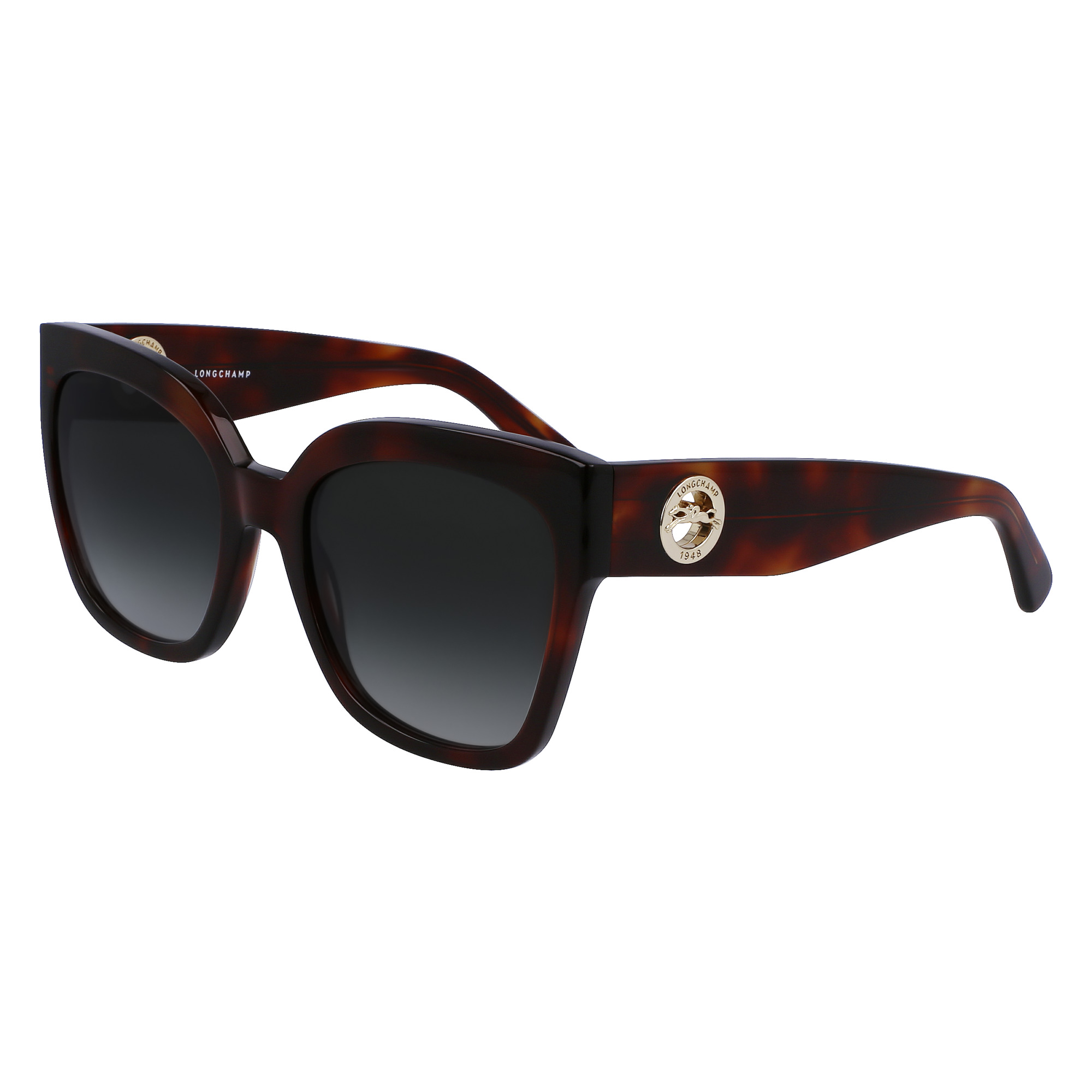 Fall/Winter 2022 Collection Sunglasses Havana - OTHER 2