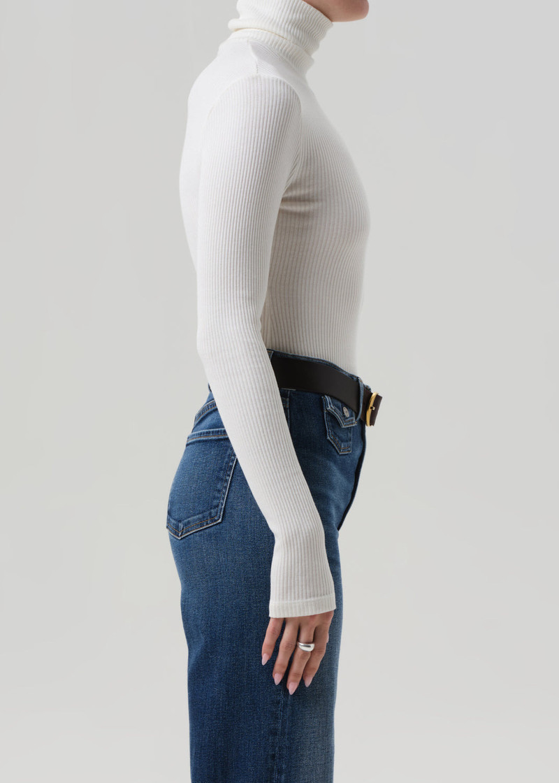 Caradene Rib Turtleneck In Pashmina 4
