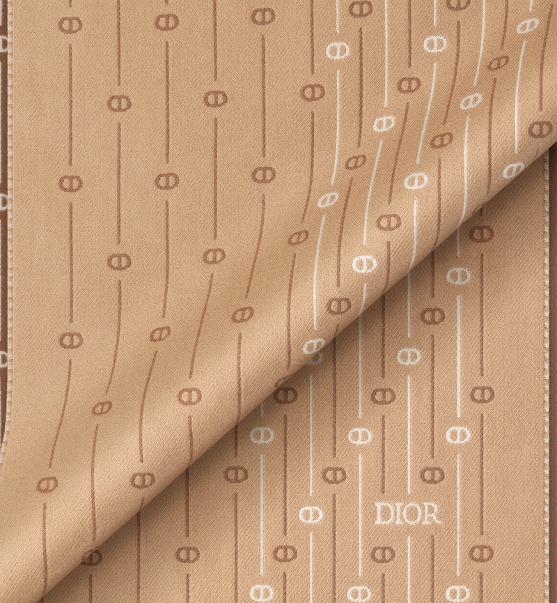 CD Icon Striped Scarf 5