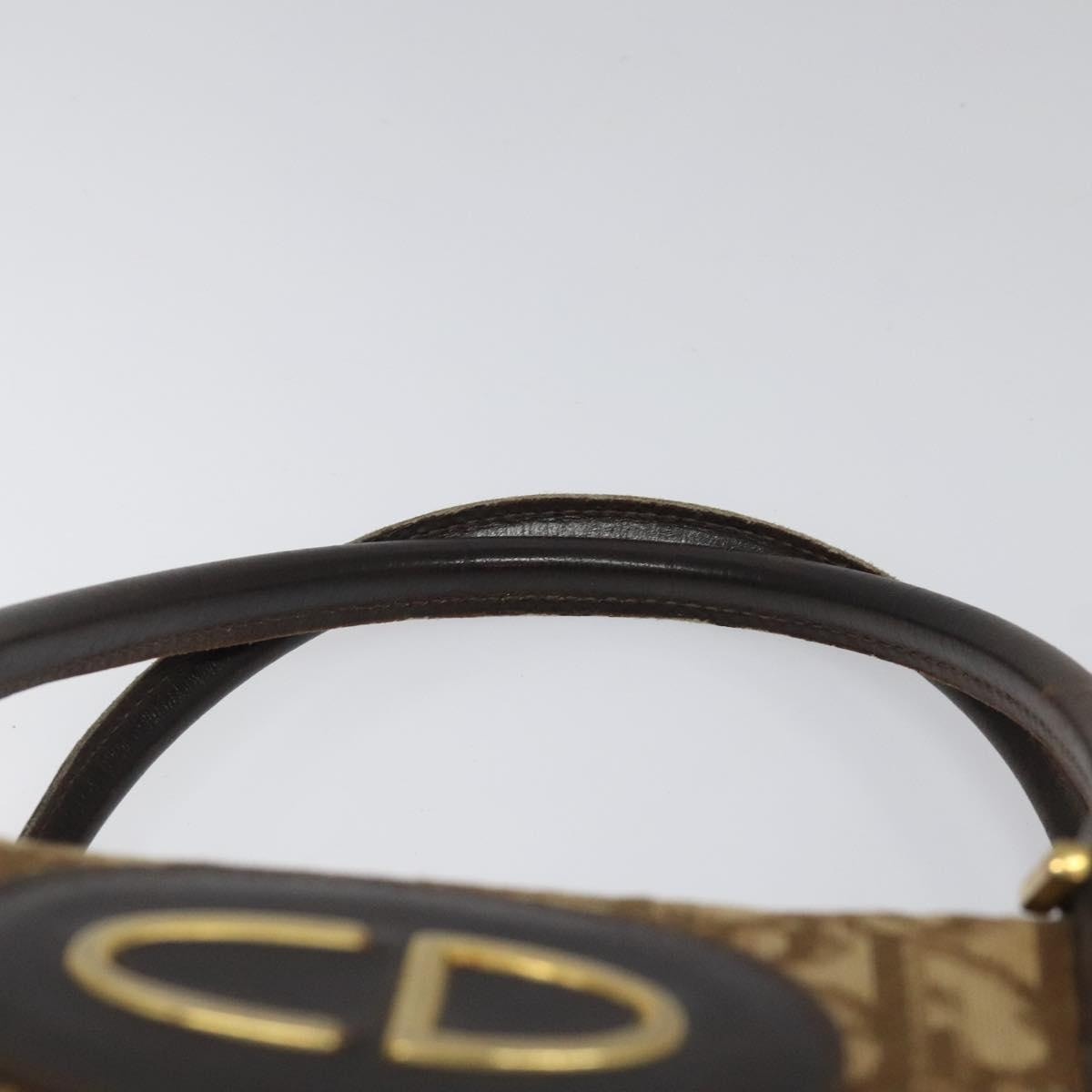 DIOR Trotter Canvas Hand Bag Brown - 14