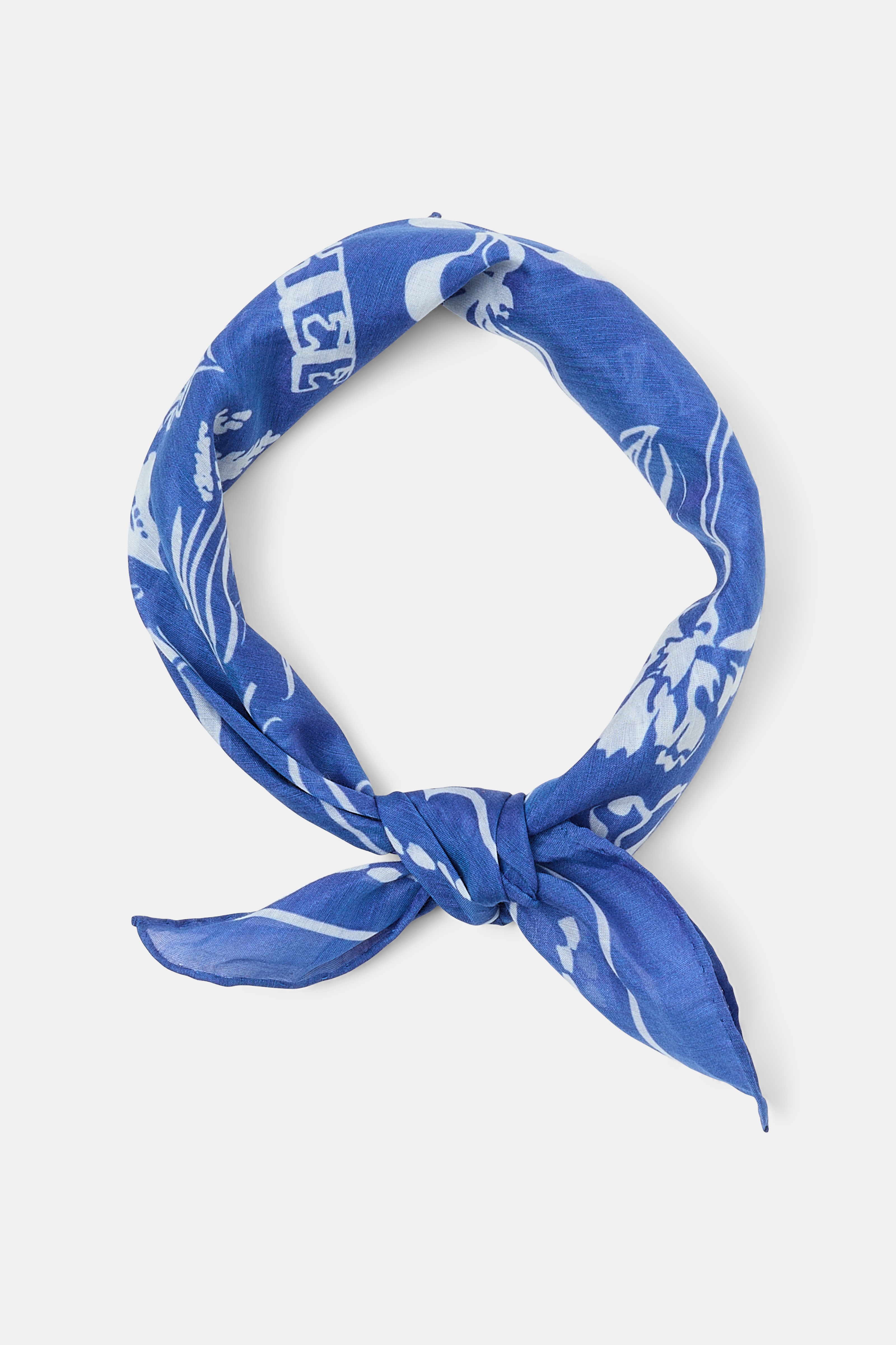 FRIENDS OF DOROTHEE scarf - 5