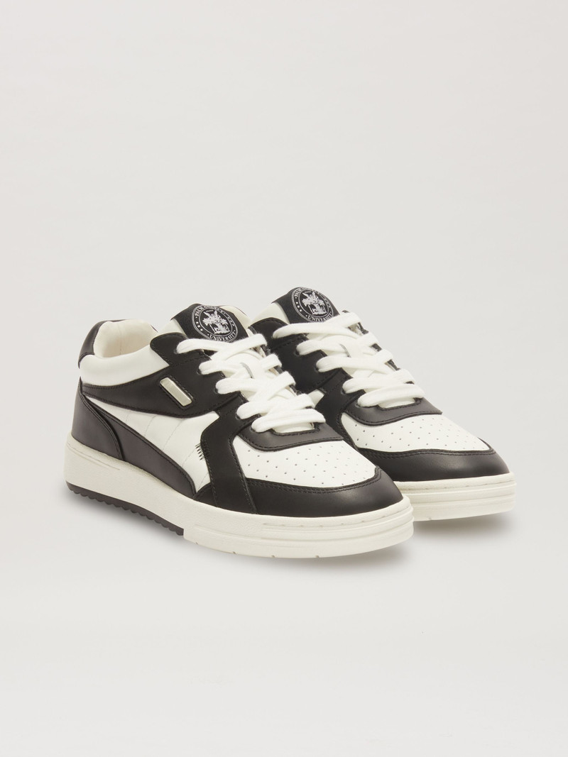 University Sneakers 2