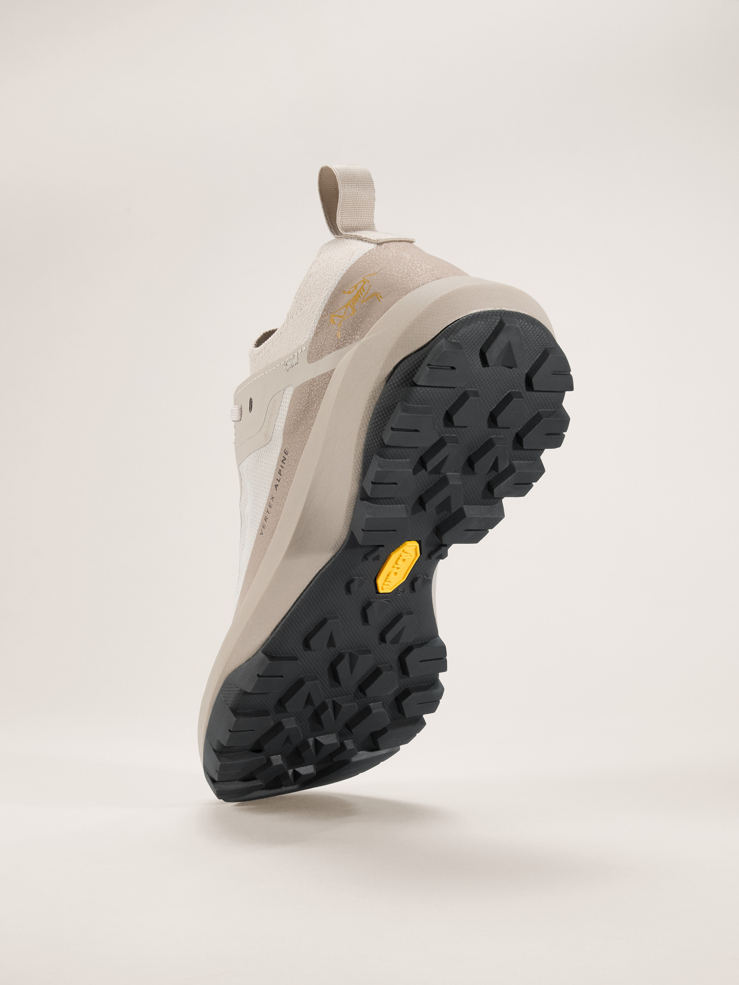 Vertex Alpine GTX Shoe - 4
