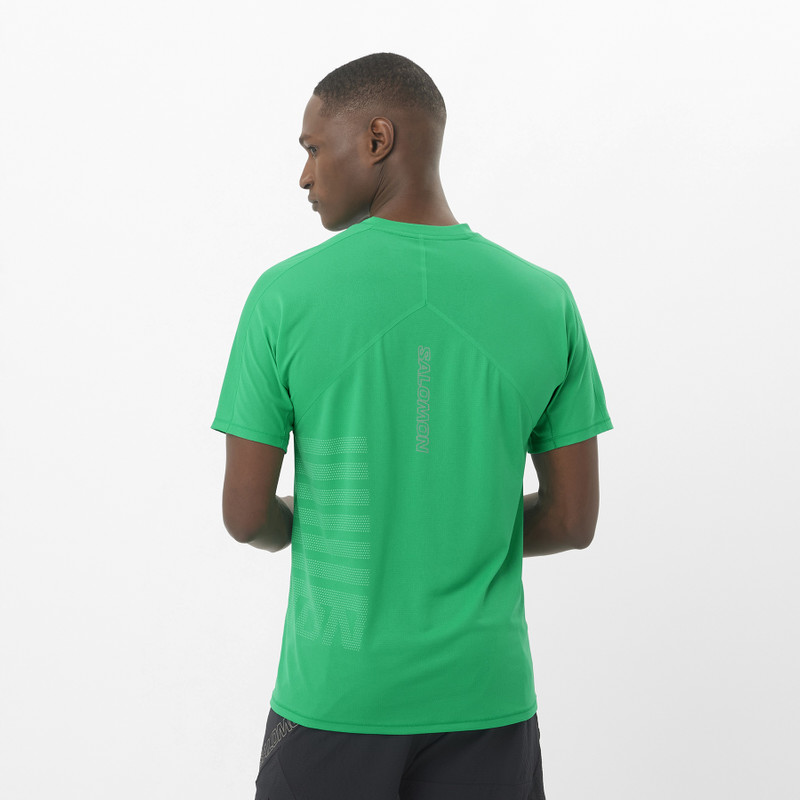 SALOMON SENSE AERO GRAPHIC outlook