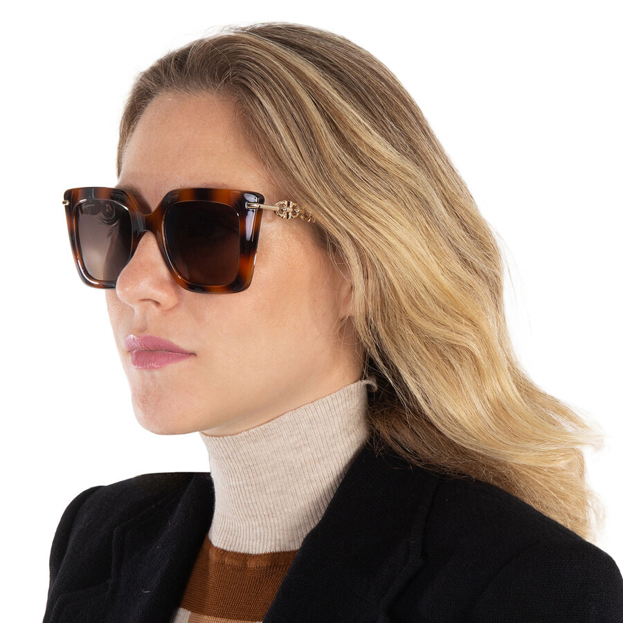 Salvatore Ferragamo Brown Gradient Butterfly Ladies Sunglasses SF1041S 238 51 - 2