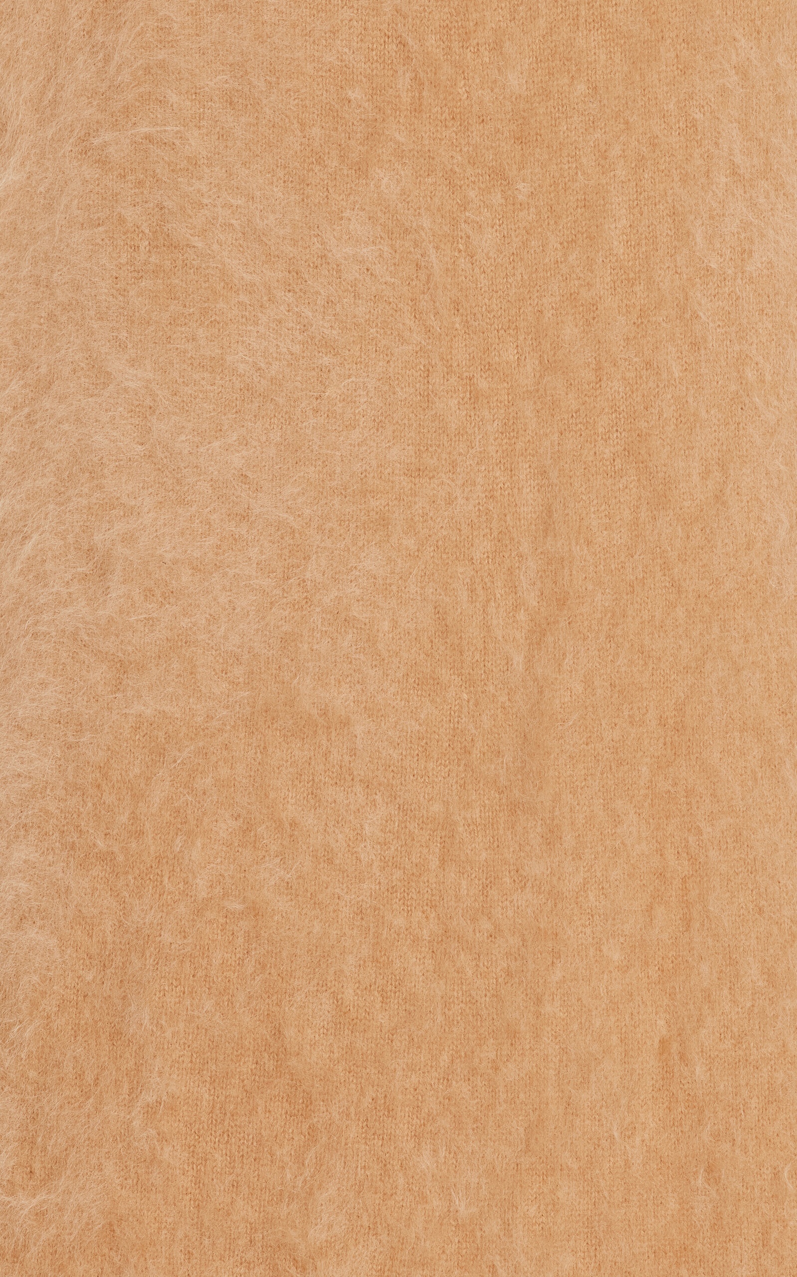Asta Brushed-Cashmere Skirt neutral - 5