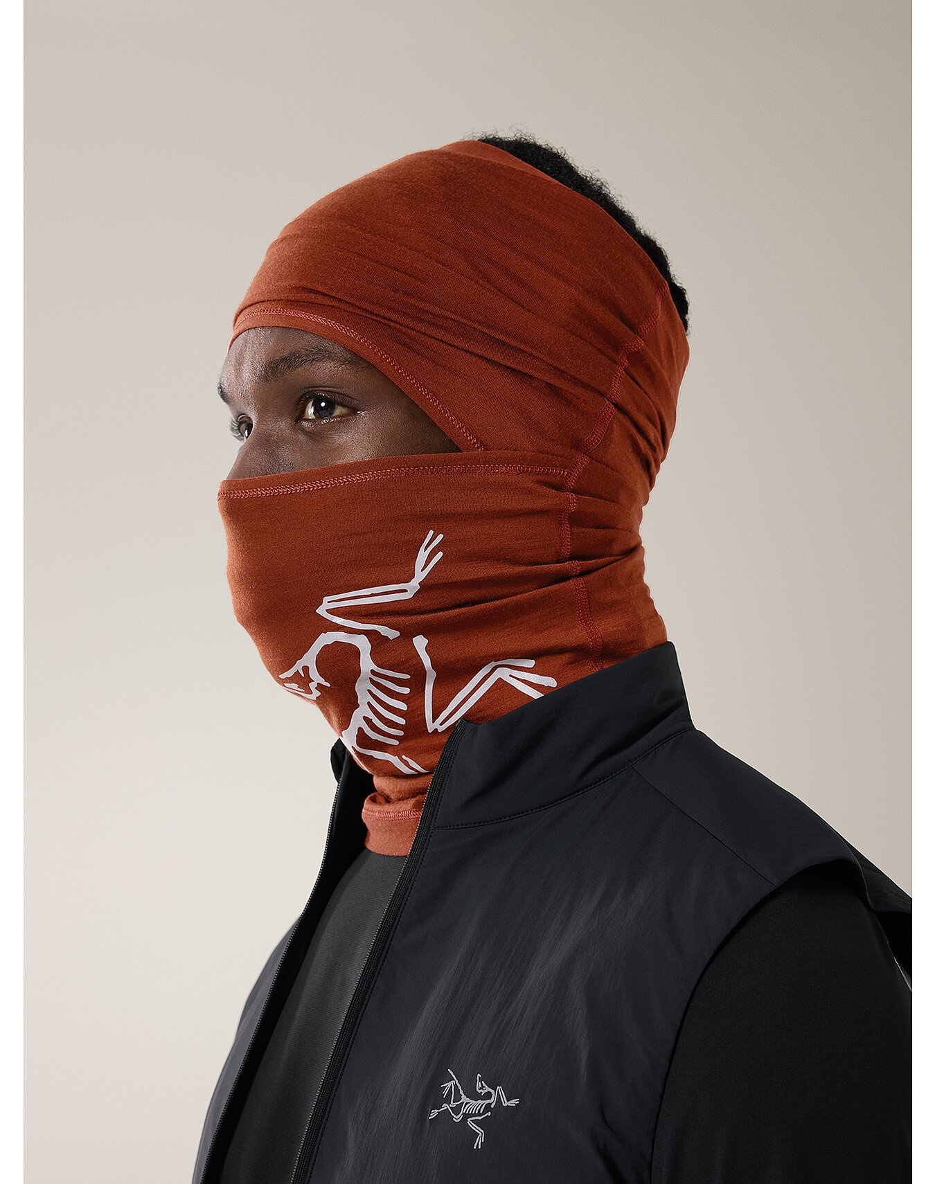 今期カナダ購入正規品NEW Arc'teryx Norvan Balaclava