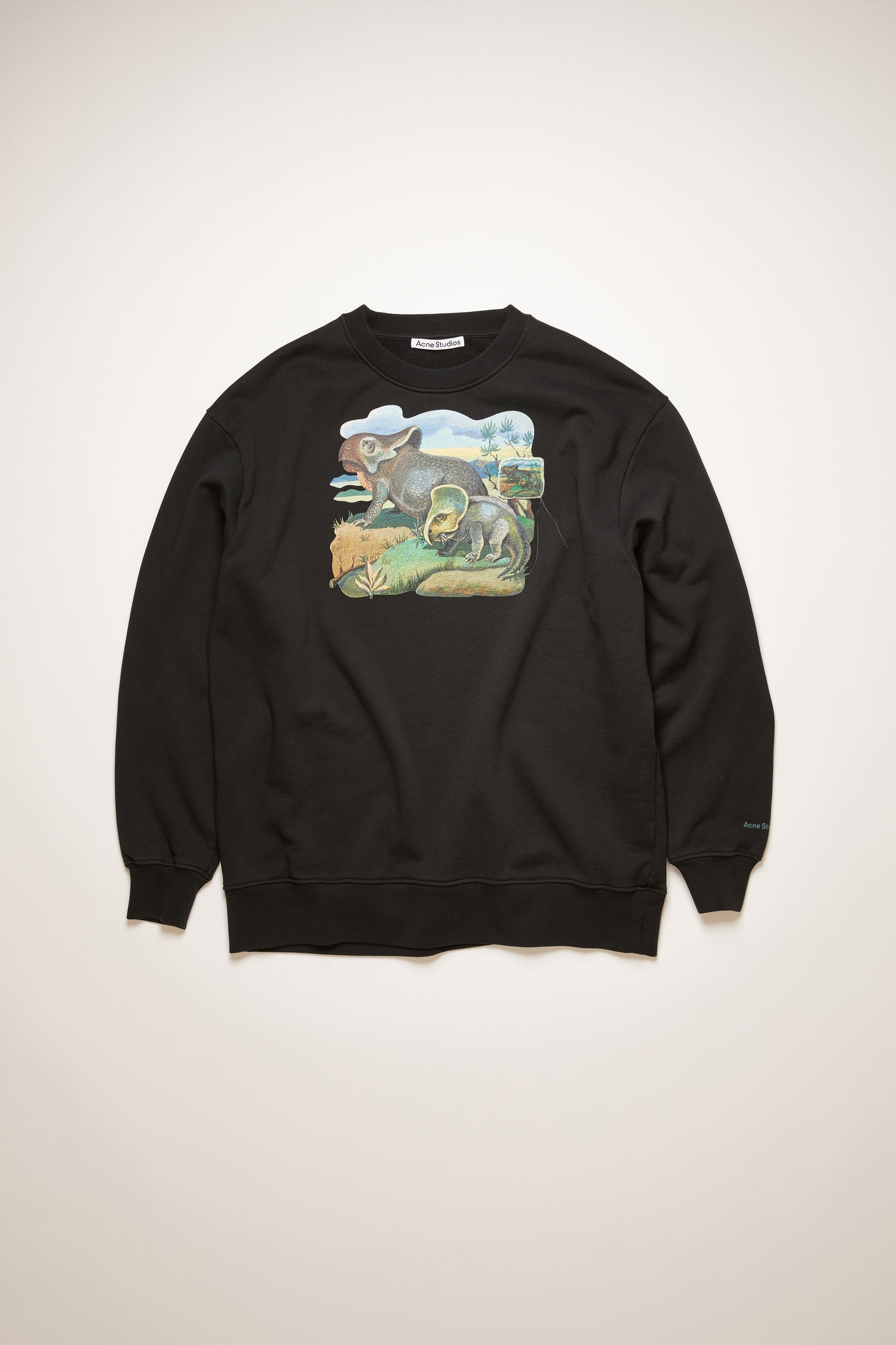 Dinosaur print sweatshirt black - 1