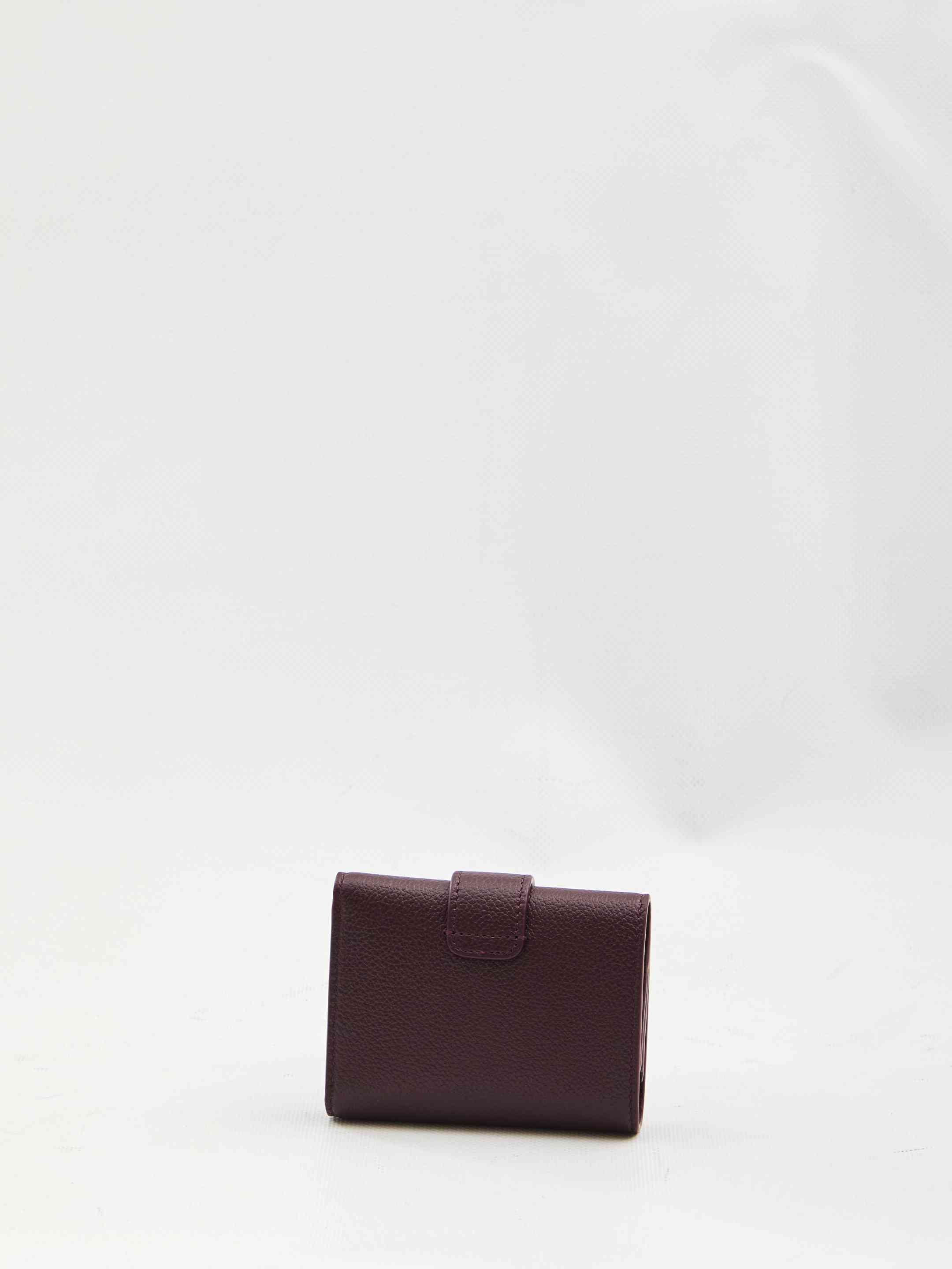Celine Women Triomphe Fine Strap Wallet - 2
