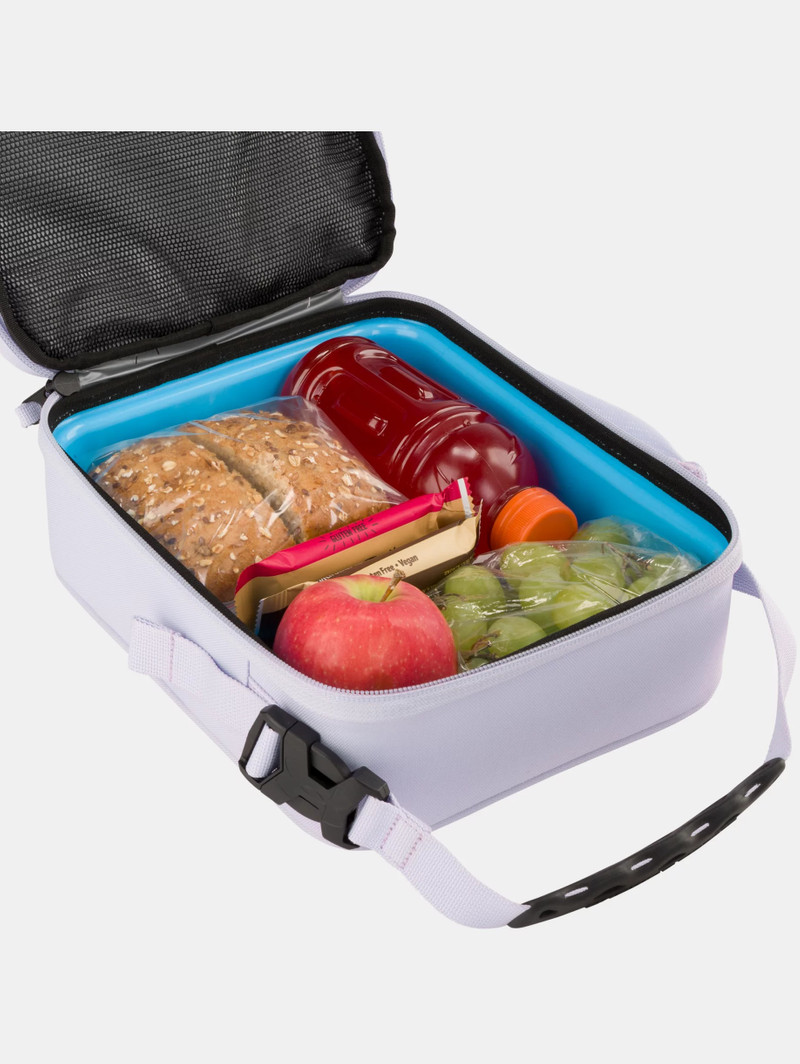 UA Scrimmage 3 Lunch Box 4