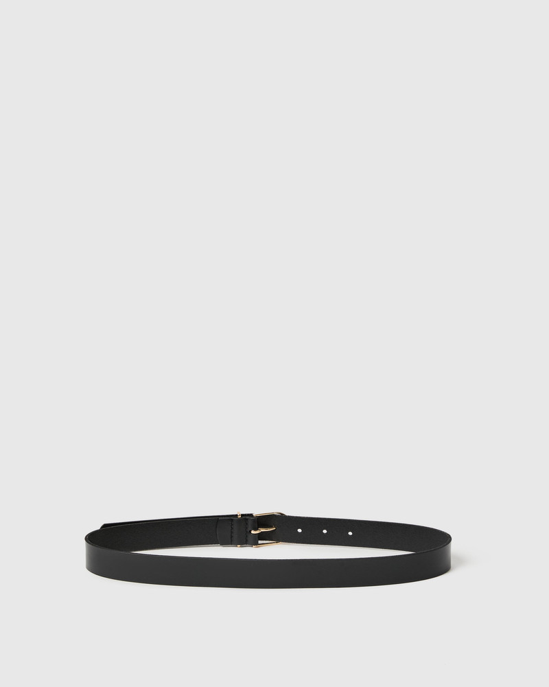 PAIGE Elia Belt outlook
