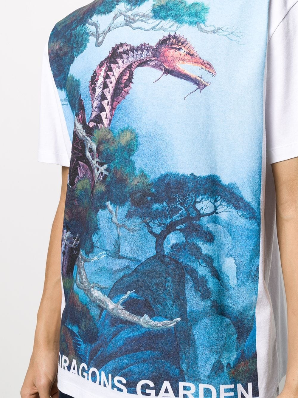 Dragons Garden print T-shirt - 5