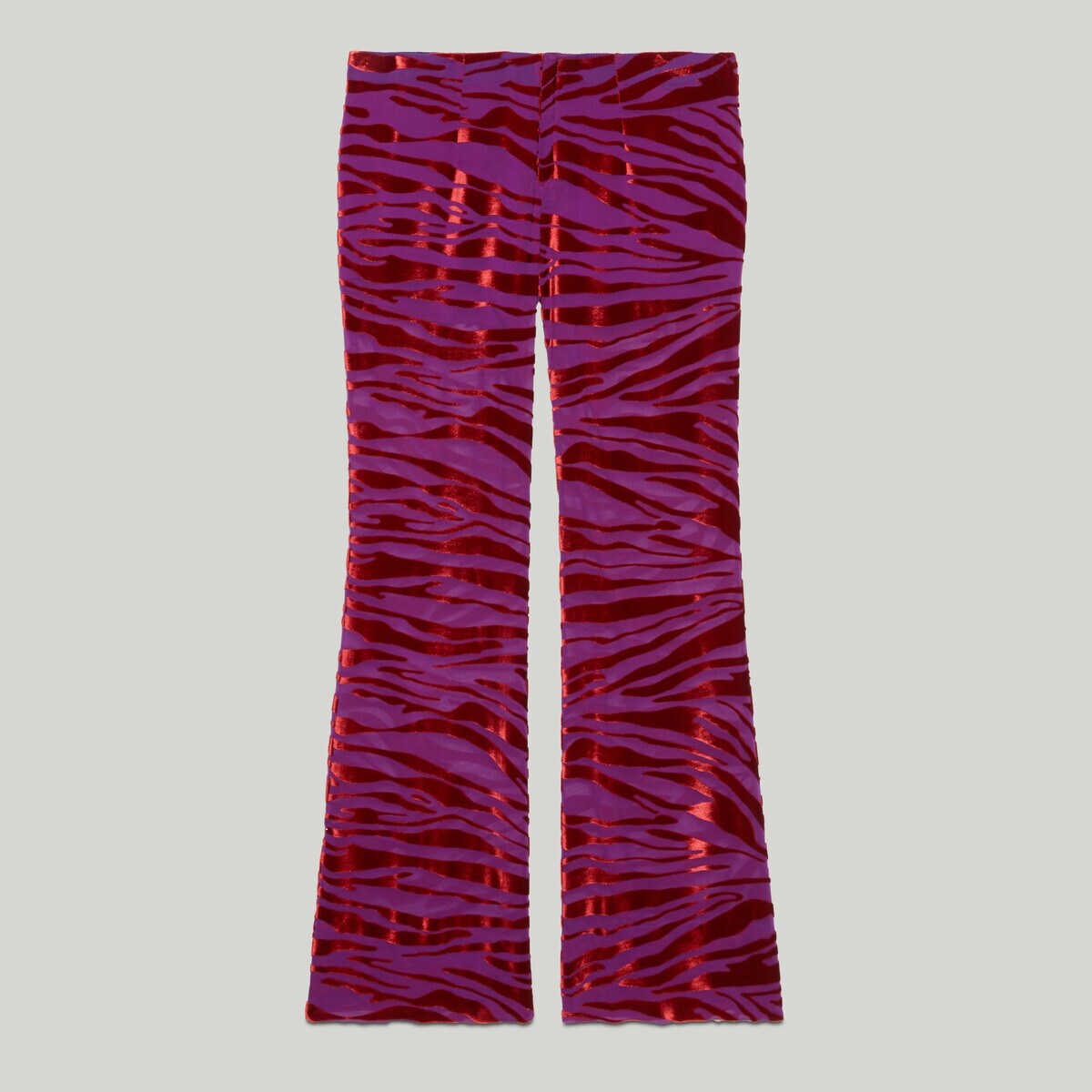 Animalier velvet pant - 1