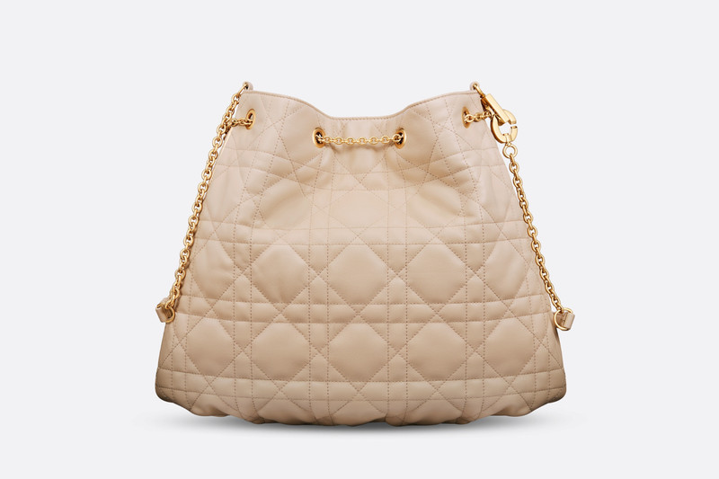 Large Dior Ammi Bag 4