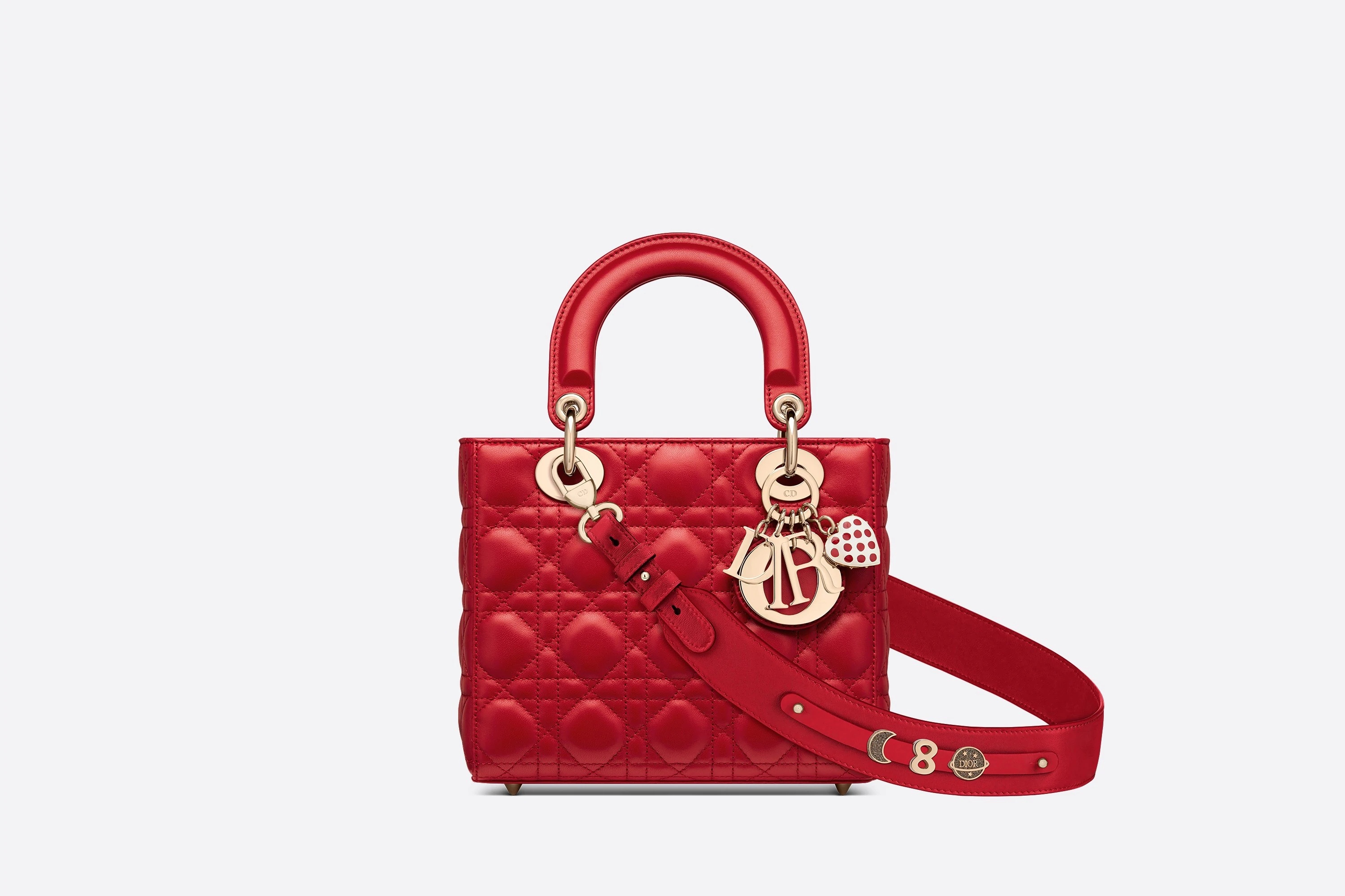 My ABCDior Lady Dior Dioramour Bag - 5