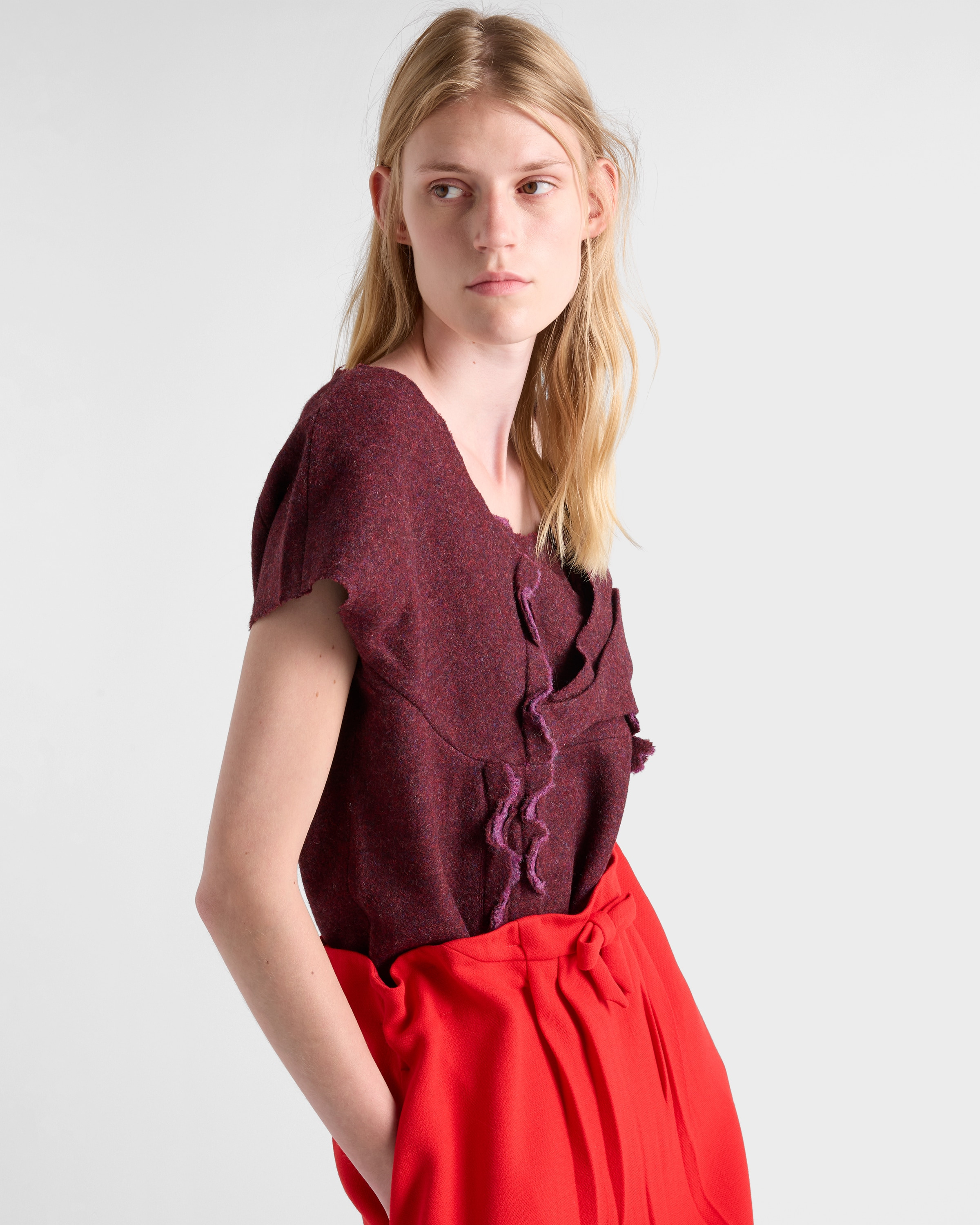 Shetland wool top - 4