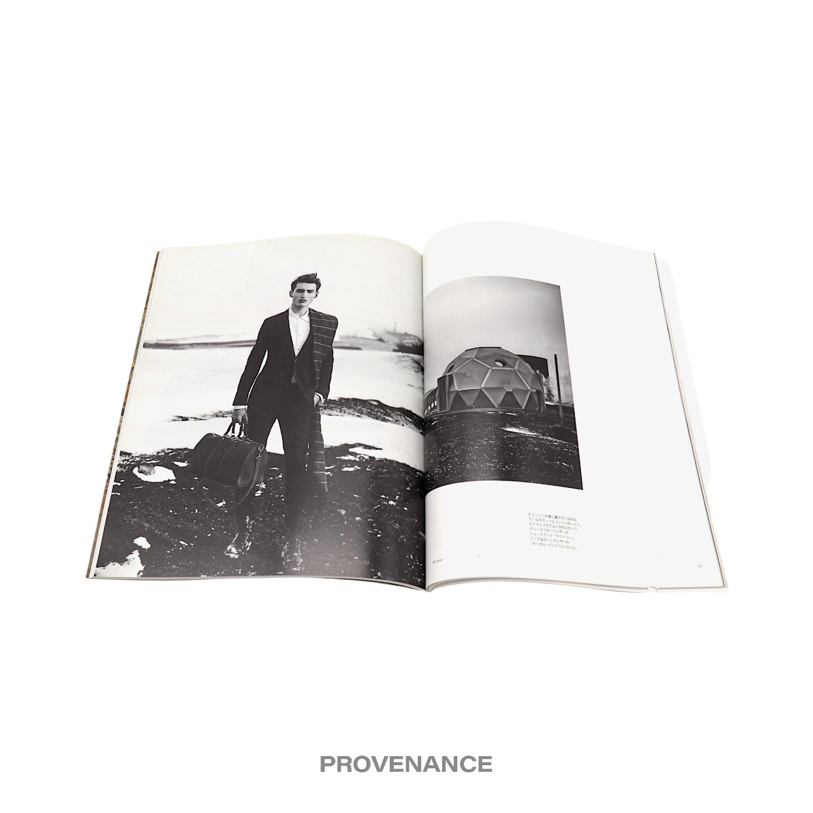 Louis Vuitton The Book #1 - 11