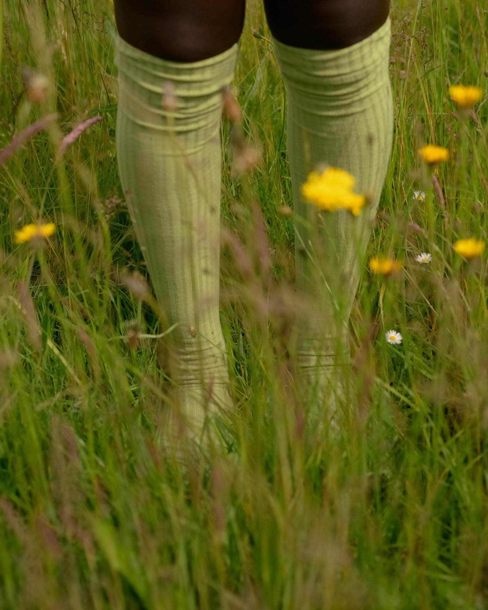 Overknee Socks - Fine Organic Cotton Rib - 5