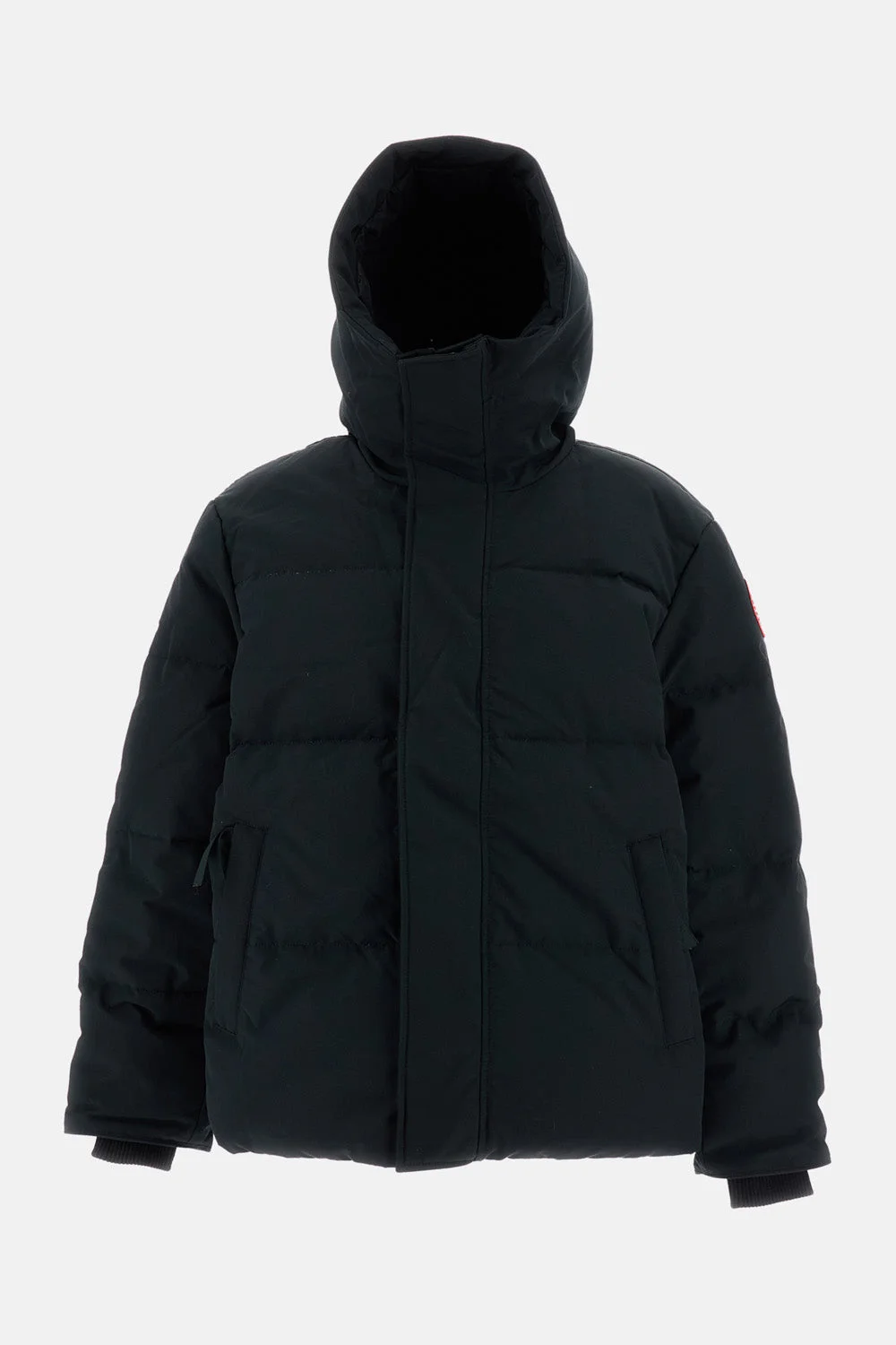 PADDED PARKA SEYMOUR - 1