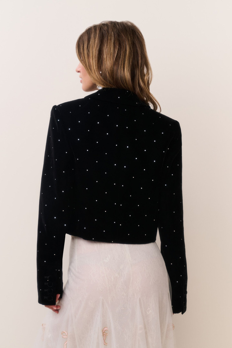 Orlisa Cropped Velvet Blazer 5