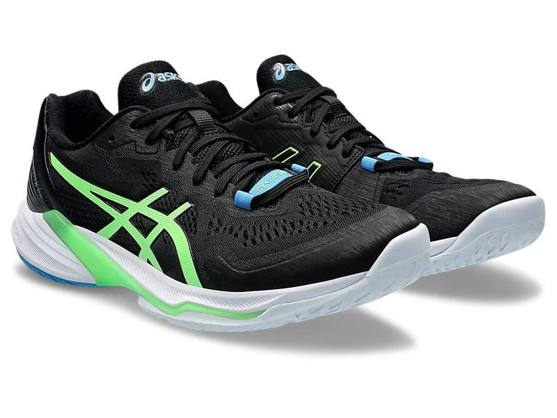 Asics SKY ELITE FF 2 outlook